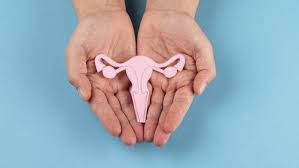 The following are often identified by women as some of the signs and symptoms of ovarian cancer: Promise For Ovarian Cancer Treatment From Plant Derived Drug