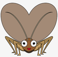 Download high quality cricket insect clip art from our collection of 41,940,205 clip art graphics. Free Png Cricket Insect Clipart Png Images Transparent Insect Free Transparent Png Download Pngkey
