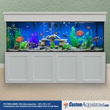 The material quality of these 20 gallon aquarium range from plastic to plastic with ceramic base and acrylic materials. 300 Gallon Aquarium Custom Glass Fish Tank Custom Aquariums