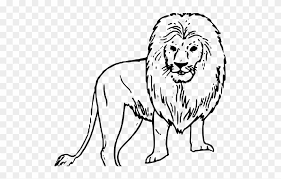White Lion Clipart Black Background Wild Animals Drawing Easy Png Download 1780772 Pinclipart Lionhead rabbit white lion, zoo animal transparent background png clipart. white lion clipart black background