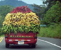 Loaded Truck Random Art Midden Amerika Vervoer Exotisch Fruit