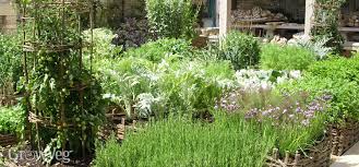 There are so many things to consider! How To Plan A Vegetable Garden Design Your Best Garden Layout