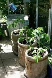 5 gallon bucket planter ideas. 15 Best 5 Gallon Bucket Diy Ideas Bucket Bucket Ideas Gallon