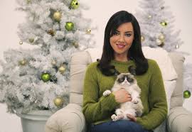 Funny Zoom Backgrounds In 2020 Grumpy Cat Grumpy Cat Christmas Grumpy Cat Movie
