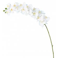 Vous trouverez ici de magnifiques orchidées artificielles, fidèles imitations des variétés les plus connues. Orchidee Artificielle Haut De Gamme Et Composition Avec Ou Sans Pot