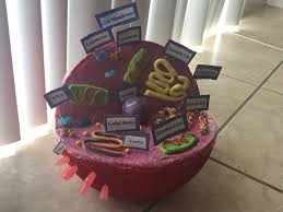 The amount of cholesterol in animal plasma membranes regulates the fluidity of the membrane and changes based. Animal Cell Made Out Of Candy Animal Cell Desserts Cake