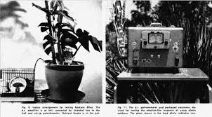 Does anyone have a link to the nathan for you lie detector clip? The Mediated Plant Journal 102 September 2019 E Flux