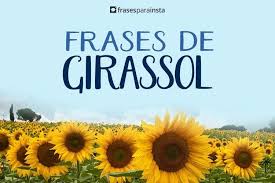 Frases De Girassol Mostre A Luz Que Ha Em Voce Frases Para Instagram Substantivo masculino designação comum às plantas do gênero helianthus, pertencentes à família. frases de girassol mostre a luz que ha