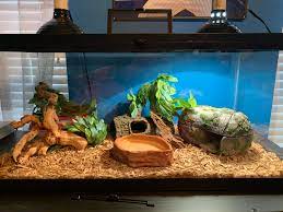 A common item used by owners to increase the temperature is a heat lamp. What Would You Do To This Enclosure To Increase Humidity And Make It Better For My Ball Python Snakes