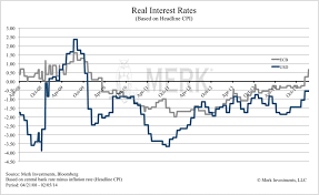 Real Interest Rate Geckoresearch
