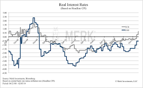 real interest rate geckoresearch