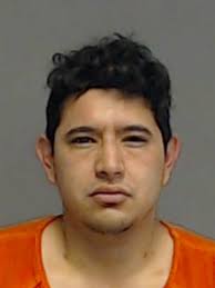 K-9 helps police find suspect hiding under crawl space