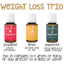 Pin En Yleo