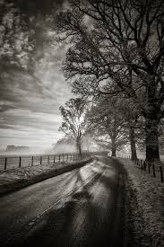 Black And White Road The Road Nature Pictures Photo Black And White Photographs