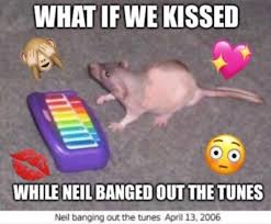 What If We Kissed Meme Meme Wall