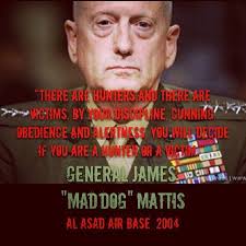 General James Maddog Mattis Military Quotes Warrior Quotes Military Humor