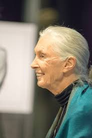 5 Agnes Irwin School Royalty-Free Images, Stock Photos & Pictures