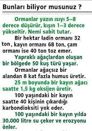 Daha Cok Agac Daha Cok Yesil Daha Cok Nefes Rhatunolu Biliyor Muydunuz Bilgi Gercekler