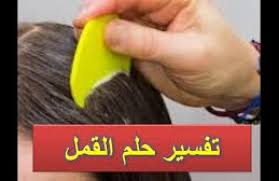 القمل في المنام يشير إلى الدنيا والمال، ورؤية القمل الكثير في المنام يشير إلى العذاب، وقد يكون نعمة وبركة وخير وخلاص من الهموم والأحزان، والقمل يشير إلى قوم ضعفاء وكثيرو النميمة وسفلة، وبالنسبة للوزراء فهم شاكرين، وللشرطة فهم أعوان، وللعلماء فهم طلاب. Ø§Ù„Ù‚Ù…Ù„ ÙÙŠ Ø§Ù„Ø­Ù„Ù… ÙˆÙ‚ØªÙ„Ù‡ Ø­Ù„Ù…Øª Ø¨Ù‚Ù…Ù„ ÙÙŠ Ø´Ø¹Ø± Ø§Ø¨Ù†ØªÙ‰ ÙˆØ§Ù†Ø§ Ø§Ù‚ØªÙ„Ù‡ Ø§Ø­Ù„Ù‰ Ø­Ù„ÙˆØ§Øª