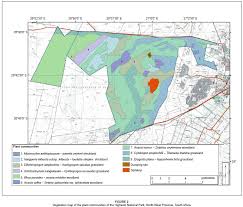 Image result for Chascanum adenostachyum