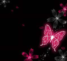 خلفيات بوربوينت 2020 hd ناعمة وهادئة بدون حقوق butterfly wallpaper cute love photos butterfly art