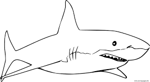 There are tons of great resources for free printable color pages online. Simple White Shark Coloring Pages Printable
