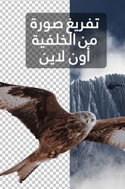 تفريغ الصور اون لاين بدون برامج movie posters poster
