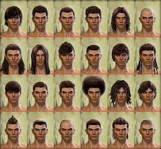 Http Wiki Guildwars2 Com Images 0 05 Human Male Hair Styles Png How To Draw Hair Mens Hairstyles Character Creation