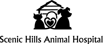 Paul pet hospital's veterinary care foundation. Homepage Scenic Hills Animal Hospital