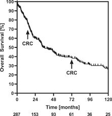 Screening For Colorectal Cancer After Pancreatoduodenectomy For Ampullary Cancer European Journal Of Surgical Oncology
