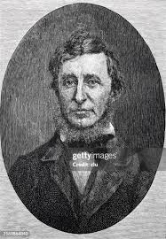 209 Walden School Stock Photos, High-Res Pictures, and Images