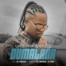 His debut studio album skeleton move achieved acclaim including an afrimma award for best artist/group in the african electro category. Vee Mampeezy Ft Dr Tawanda Dumalana New Hit Songs African Music South African Artists