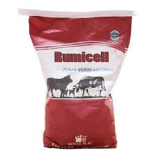 Royal Rumicell Canli Maya 25 Kg