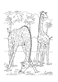 Please scroll down for individual pages. Zoo 12814 Animals Free Coloring Pages