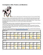 When we talk related with dna mutations worksheet answer key, we have collected some similar pictures to complete your ideas. Investigation Dna Proteins And Mutations Docx Name Investigation Dna Proteins And Mutations Below Are Two Partial Sequences Of Dna Bases Shown For Course Hero