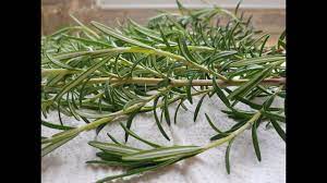 Il rosmarino è un'ottima pianta medicinale dalle numerose proprietà per la salute: Come Essiccare Il Rosmarino Rosmarino Essiccato Al Sole Come Essiccare Le Spezie In Modo Semplice Youtube