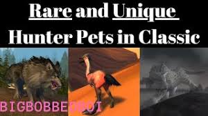 A Hunter S Guide To Pet Families And Abilities Classic Wow Tutorial