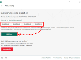 Aktivieren Von Kaspersky Internet Security 19