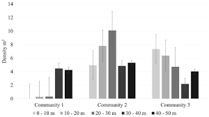 Image result for Urochloa clavipila