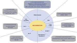 Systemic Autoinflammatory Diseases Clinical State Of The Art Sciencedirect