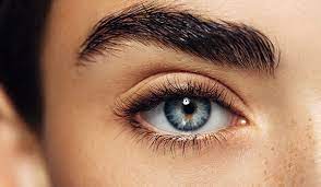 Castor oil is found to have numerous benefits especially for hair and skin. How To Make Diy Eyebrow Gel Be Beautiful India