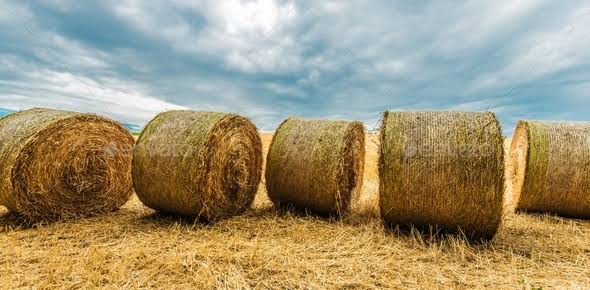 Mga resulta ng larawan para sa hay bales"