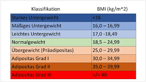 Adipositas Definition Behandlung Ursachen Grade Folgen