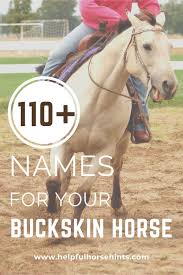 See more ideas about horses, buckskin horse, beautiful horses. 52 Horse Colors Buckskin Horses Ideas Horses Horse Coloring Buckskin Horse