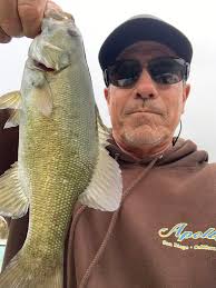 How many of you guys are running side imaging or view of some sort?