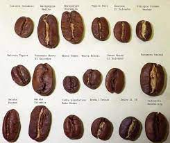 And some are subject to country specific restrictions. Perfect Daily Grind On Twitter Coffee Recipes Coffee Varieties Gourmet Coffee