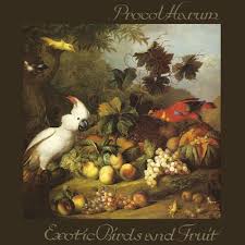 Peter Hammill The Silent Corner And The Empty Stage Pin On Album Cover Art