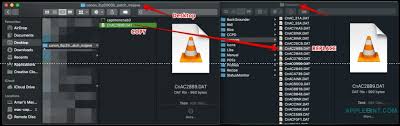 This software is a capt printer driver that provides printing functions for canon lbp printers operating under the cups (common unix printing system) environment, a printing system that operates on linux operating systems. An Instruction To Download And Install Canon Lbp2900b Printer Drivers On Macos Mojave Macos Apple Hint