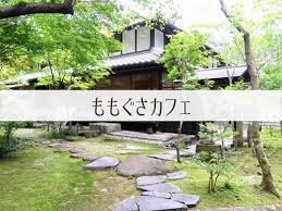 ももぐさカフェ 静謐な森林の中で叶う素朴なおいしさ 岐阜いただきます
