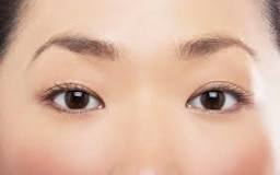 Image result
